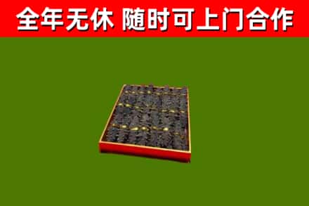 中阳回收海参